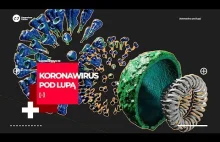 Koronawirus pod lupą | Anatomia wirusa SARS-CoV-2 i zabawa Blenderem