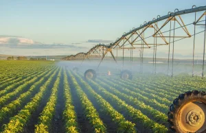 Przez epidemię warzywa i owoce podrożeją nawet o 10%. Sprawę pogorszy susza