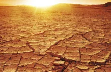 Zbliża się największa susza od ponad 100 lat? Tak niskiej wilgotności...