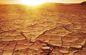 Zbliża się największa susza od ponad 100 lat? Tak niskiej wilgotności...