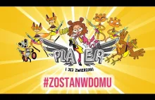 Plater i Jej Zwierzaki #zostanwdomu