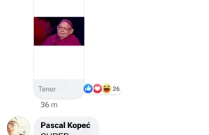 Polska policja usuwa komentarze na fb.