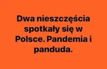 Maseczki chronią przed koronawirusem! - skoro pis tak twierdzi to "musi" tak być