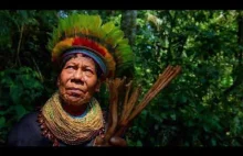 Medycyna ludowa plemiona amazońskich