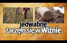 JEDWABNE ZACZĘŁO SIĘ W WIŹNIE...