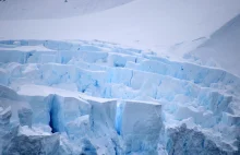 Pod lodami Antarktydy odkryto szczątki lasu deszczowego.