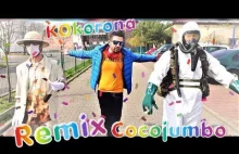 Vascoo & Dr WuuHaan gość. kpt.michail - KoKoRona (Remix/Parody Mr....