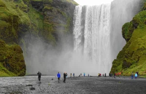 Koronawirus na Islandii: Co dziewiąty obywatel przebadany, śmiertelność 0.5%