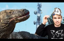 Waran z Komodo pod Twoim łóżkiem!? 5G i Coronavirus? Teorie spiskowe a...