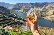 Portugalskie wina | Lora Gourmet