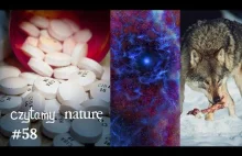 Czytamy naturę #58 | Smart drugs i motywacja. Cząstki ciemnej materii? Psia kość