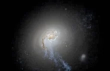 Czy Droga Mleczna wyrzuca gwiazdy do zewnętrznego halo?