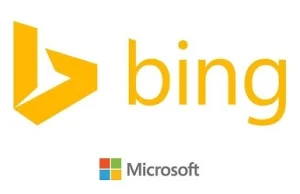WHAT IS BING'S SEARCH ENGINE CRITERIA OF ACCESSING A WEBSITE SPAM?