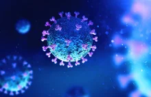 Niemieccy wirusolodzy chcą leczyć koronawirusa substancją występującą w spermie