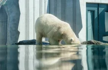 MEN uczy dzieci dlaczego zmiany klimatyczne są tak naprawdę całkiem dobre