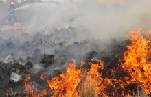 Ogromny Pożar w Biebrzańskim Parku Narodowym. Strażacy 24/7 walczą z żywiołem wp