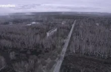 Przelot dronem nad spalonym lasem w Czarnobylu