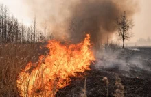 Biebrzański Park Narodowy wciąż płonie. Minister środowiska wysyła śmigłowce