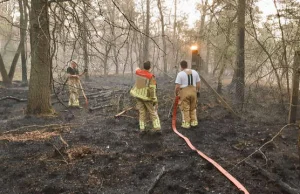 Holandia: Od kilku dni płonie park narodowy Meinweg. Ponad 4000 osób ewakuowano.