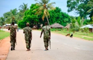 Islamist group kills 52 in 'cruel and diabolical' Mozambique massacre