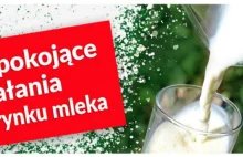 Ministerstwo podało listę 15 mleczarni, które ściągają mleko z zagranicy