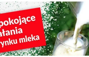 Ministerstwo podało listę 15 mleczarni, które ściągają mleko z zagranicy