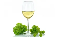 Albariño białe wino z Galicji | Lora Gourmet