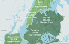 Interaktywna mapa pokazująca wszystkie drzewa publiczne w Nowego Jorku