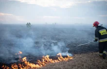 Biebrzański Park Narodowy. Pożar torfowisk może potrwać nawet kilka miesięcy