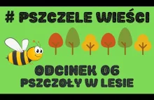 Pszczele Wieści - Odcinek 06 - Pszczoły w lesie