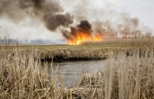 Szwecja: Strażacy gotowi pomóc w gaszeniu pożaru w Dolinie Biebrzy