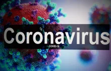 Pierwszy test badający podatność na zakażenie koronawirusem powstaje w Polsce