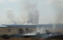 W Biebrzańskim Parku Narodowym spłonął jak dotąd obszar o powierzchni Zamościa