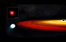 Gwiazda przetrwała bliski kontakt z czarną dziurą