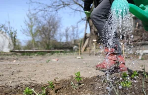 „To może być susza stulecia”. Polska zatrzymuje za mało wody