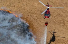 Eurocopter AS350 podczas akcji gaszenia pożaru Biebrzańskiego Parku Narodowego