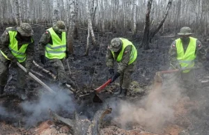 Pożar w Biebrzańskim Parku Narodowym. W niedzielę kluczowe decyzje