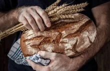 Nadchodzą podwyżki cen chleba. Nasze zboże jedzie na Zachód