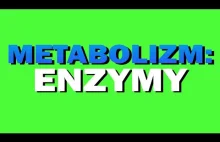 Metabolizm: enzymy