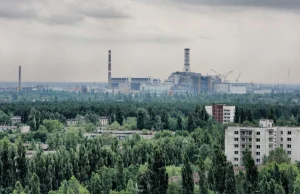 Czarnobyl 34 lata po katastrofie jest wyjątkowym rezerwatem przyrody