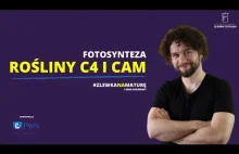 #11 Rośliny C4 i CAM - FOTOSYNTEZA