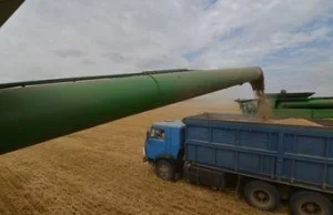 Rosja wstrzymała eksport zboża. Katastrofalna susza