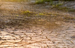 Sobik: Woda pitna może być przez susze droższa niż ropa