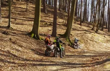 Motocykliści ukarani za nielegalne rajdy po lesie.