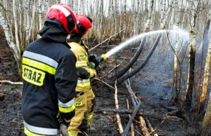 Zatrważające statystyki na Mazowszu. Tylko wczoraj 40 pożarów lasów