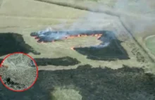 Trzech mężczyzn podpalało trawy. Wpadli dzięki policyjnemu dronowi. [WIDEO]