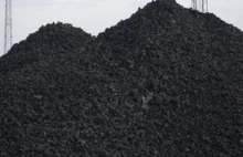 Nie cichnie sprawa węgla z Kolumbii. "Apele rządzących to ponury żart"
