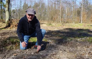 ALDI z Klubem Gaja sadzi drzewa wokół Bielska-Białej. Posadzili już 90 tys.