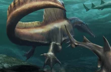 Bizarre Spinosaurus makes history as first known swimming dinosaur