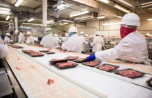 Koronawirus w zakładach mięsnych w Niemczech. Właściciele nie czują się winni